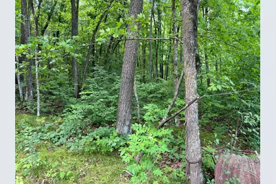 00000 River Island Road, Pine City Township, MN 55063 - Photo 14