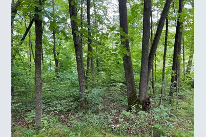 00000 River Island Road, Pine City Township, MN 55063 - Photo 4