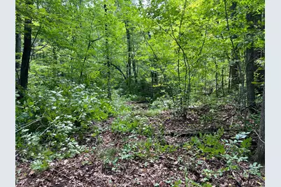 00000 River Island Road, Pine City, MN 55063 - Photo 18