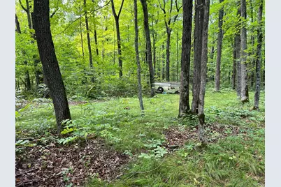 00000 River Island Road, Pine City, MN 55063 - Photo 8