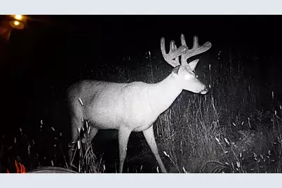 44384 Grace Lake Road, Ogema Twp, MN 55037 - Photo 68