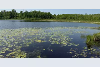 44384 Grace Lake Road, Ogema Twp, MN 55037 - Photo 58