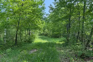 44384 Grace Lake Rd, Ogema Twp, MN 55037 - Photo 54