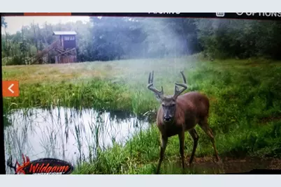 44384 Grace Lake Road, Ogema Twp, MN 55037 - Photo 72