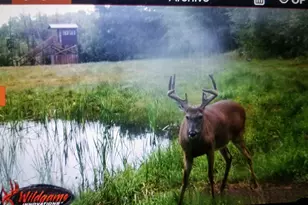 44384 Grace Lake Rd, Ogema Twp, MN 55037 - Photo 72