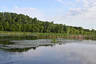 6615 Lake Shore Dr S, Richfield, MN 55423 - Photo 36