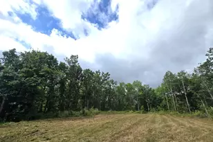 Tbd State Hwy 210, Deerwood, MN 56444 - Photo 1