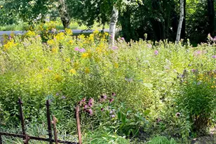 6312 230th St, Saint Augusta, MN 56301 - Photo 64