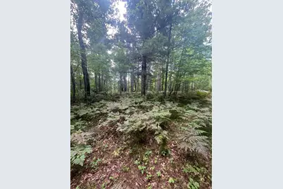 Lot 43 Deerpath Trail Way, Danbury, WI 54830 - Photo 2