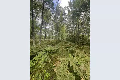 Lot 43 Deerpath Trail Way, Danbury, WI 54830 - Photo 10