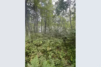 Lot 43 Deerpath Trail Way, Danbury, WI 54830 - Photo 12