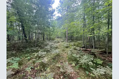 Lot 43 Deerpath Trail Way, Danbury, WI 54830 - Photo 6
