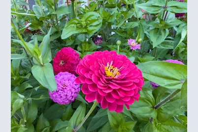 1124 8th Avenue SW, Faribault, MN 55021 - Photo 50