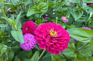 1124 8th Ave SW, Faribault, MN 55021 - Photo 50