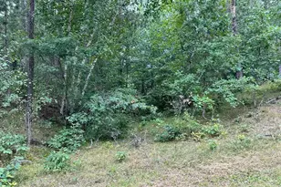 Tbd* W Five Point Lake Road NW, Hackensack, MN 56452 - Photo 1