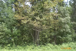 Tbd N Lakeview Dr, Breezy Point, MN 56472 - Photo 1