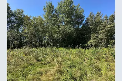 Tbd 340th Street, New York Mills, MN 56567 - Photo 42