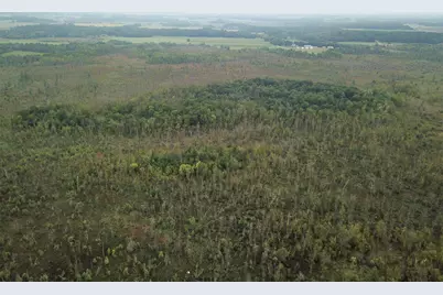 Tbd 340th Street, New York Mills, MN 56567 - Photo 10