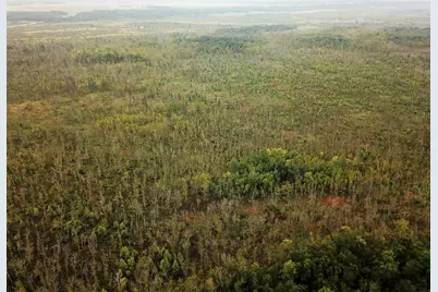 Tbd 340th Street, New York Mills, MN 56567 - Photo 6