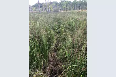 Tbd 340th Street, New York Mills, MN 56567 - Photo 24