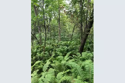 Tbd 340th Street, New York Mills, MN 56567 - Photo 34