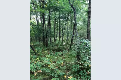 Tbd 340th Street, New York Mills, MN 56567 - Photo 30