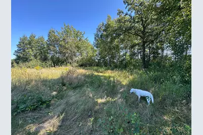 Tbd 340th Street, New York Mills, MN 56567 - Photo 46