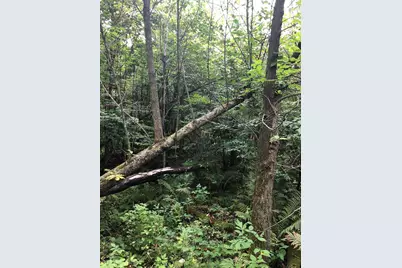 Tbd 340th Street, New York Mills, MN 56567 - Photo 38