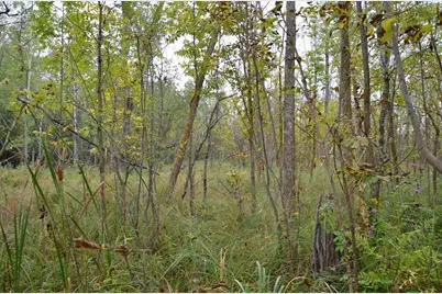 Tbd 340th Street, New York Mills, MN 56567 - Photo 14