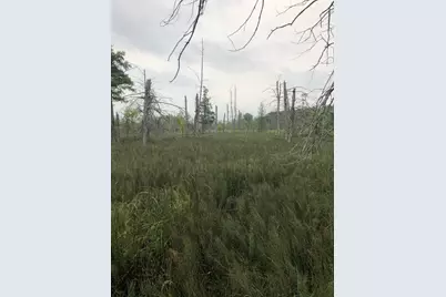 Tbd 340th Street, New York Mills, MN 56567 - Photo 20