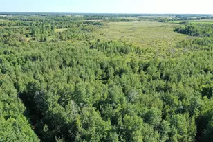 Tbd 385th St, New York Mills, MN 56567 - Photo 1