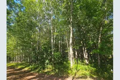 Lot 1 Ken Can Lane, Webster, WI 54893 - Photo 6