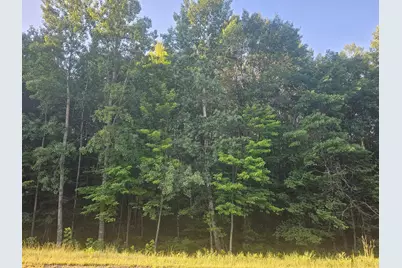 Lot 2 Ken Can Lane, Webster, WI 54893 - Photo 4