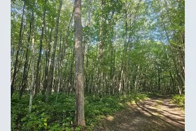 Lot 2 Ken Can Lane, Webster, WI 54893 - Photo 6