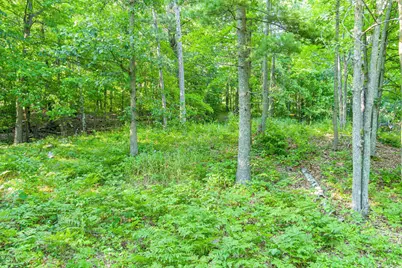 Tbd Lantern Lane, Hackensack, MN 56655 - Photo 18