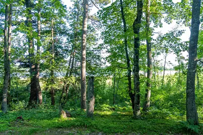 Tbd Lantern Lane, Hackensack, MN 56655 - Photo 30