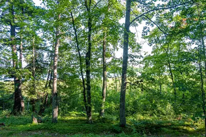 Tbd Lantern Lane, Hackensack, MN 56655 - Photo 26