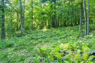 Tbd Lantern Lane, Hackensack, MN 56655 - Photo 32