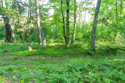 Tbd Lantern Lane, Hackensack, MN 56655 - Photo 28