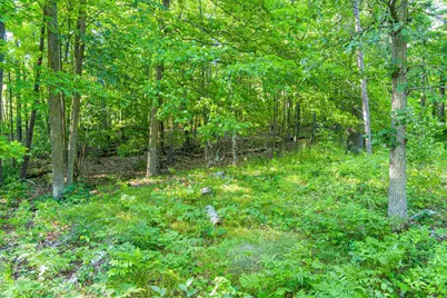 Tbd Lantern Lane, Hackensack, MN 56655 - Photo 22