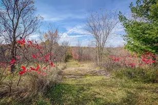 13744 270th St, Cold Spring, MN 56320 - Photo 86