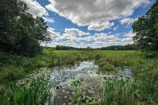 13744 270th St, Cold Spring, MN 56320 - Photo 78
