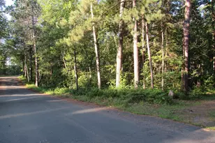 Tbd Pine Tree Ln, Sturgeon Lake, MN 55783 - Photo 1