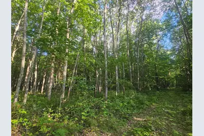 Lot 3 Ken Can Lane, Webster, WI 54893 - Photo 6