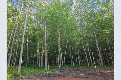 Lot 3 Ken Can Lane, Webster, WI 54893 - Photo 6