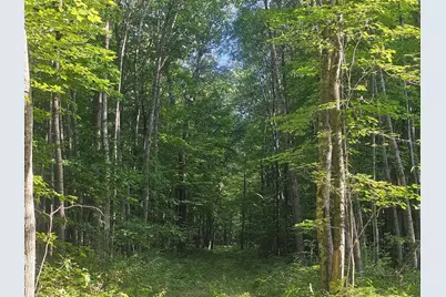 Lot 3 Ken Can Lane, Webster, WI 54893 - Photo 2
