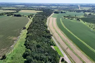 75730 Co Rd 12, Sacred Heart, MN 56285 - Photo 4