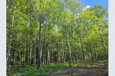 Lot 4 Ken Can Lane, Webster, WI 54893 - Photo 2