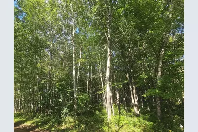 Lot 4 Ken Can Lane, Webster, WI 54893 - Photo 1