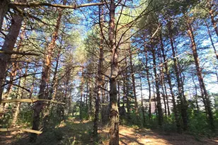 24661 187th St NW, Big Lake, MN 55309 - Photo 34